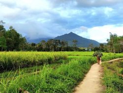 Topang Pembangunan IKN, Kemenparekraf Siapkan Desa Wisata