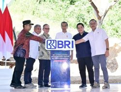 Jokowi Sebut Minat Investasi di IKN Tinggi
