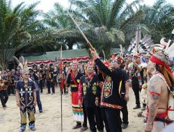 Ratusan Penari Dayak Okolod Sambut Kedatangan Gubernur Kaltara di Nunukan