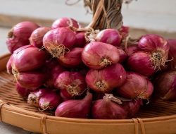 Sempat Naik, Harga Bawang di Pasar Tradisional Banjarmasin Turun