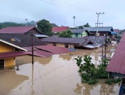 Banjir Mahakam Ulu: Ribuan Rumah Terdampak, 1 Warga Meninggal Dunia