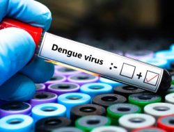 Waspada Penyakit DBD Musim Kemarau di Pulau Kalimantan