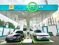 Kolaborasi dan Koordinasi Kunci PLN Kembangkan Ekosistem Hidrogen Indonesia