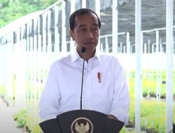 Jokowi Resmikan Persemaian Mentawir 120 Hektare di Penajam