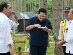 Ini Agenda Presiden Joko Widodo Selama di Kalimantan
