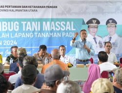 Kadis Pertanian Kaltara Launcing Sekolah Lapang Tanaman Padi