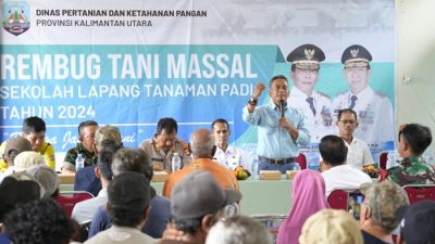 Kadis Pertanian Kaltara Launcing Sekolah Lapang Tanaman Padi