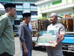 Pemkot Serahkan Hewan Kurban 41 Ekor Sapi Ke Masyarakat Pontianak