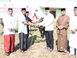 Kapolda Irjen Pol Daniel Salurkan 60 Ekor Hewan Kurban Sapi di Kaltara