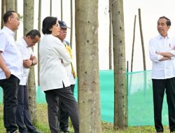 Sri Mulyani: Anggaran Pembangunan IKN Hingga Mei 2024 Habis Rp5,5 T