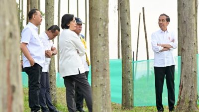 Sri Mulyani: Anggaran Pembangunan IKN Hingga Mei 2024 Habis Rp5,5 T