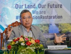 Wamen LHK: Kunci Keberhasilan Pemulihan Lahan Gambut Dukungan Semua Pihak