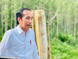 Hari ini, Jokowi Mulai Berkantor di IKN Nusantara