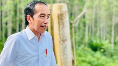 Hari ini, Jokowi Mulai Berkantor di IKN Nusantara