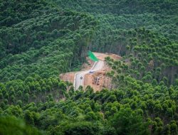 Lahan 3 Hektar di Penajam Digarap Korsel Uji Coba Pupuk Organik