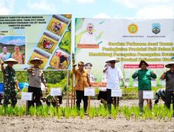 Gubernur Kaltara Galakkan Aksi Gerakan Peningkatan Produksi Padi