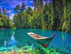 Lonjakan Wisatawan Mancanegara di Kaltim: Daya Tarik Ekowisata