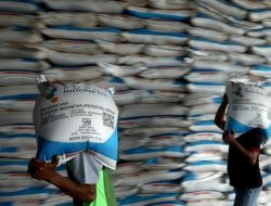 Pupuk Kaltim Pastikan Stok Pupuk Subsidi Aman Hingga 2025