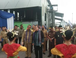 Bioenergi di Kalbar: Ancaman Hutan atau Solusi Energi?