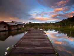 Danau Sentarum: Kawasan Konservasi yang Penuh Pesona