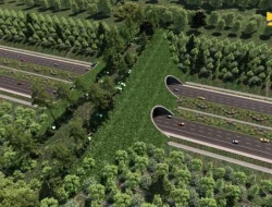 Wamen PU Tinjau Pembangunan Perlintasan Satwa Liar IKN