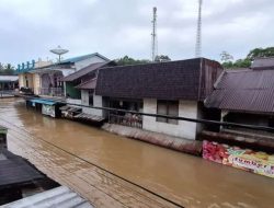 Banjir Meluas di Kalimantan Barat, Ribuan Warga Terdampak