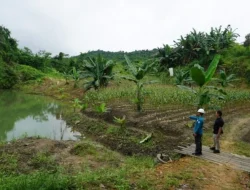 Pemkab Kukar Bangun Irigasi di Lahan Bekas Tambang