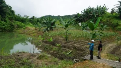 Pemkab Kukar Bangun Irigasi di Lahan Bekas Tambang
