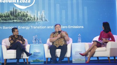 Kunci Investasi Hijau di Indonesia Menurut Penasihat Presiden