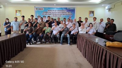 Harga TBS dan CPO Kalteng Naik di Februari 2025