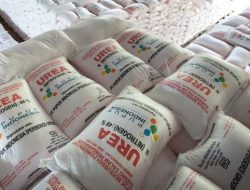 Polda Kalteng Tangkap Penjual Pupuk Subsidi Ilegal di Palangka Raya