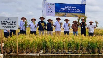Panen Padi Apung Berhasil, Warga Siang Gantung Gelar Syukuran