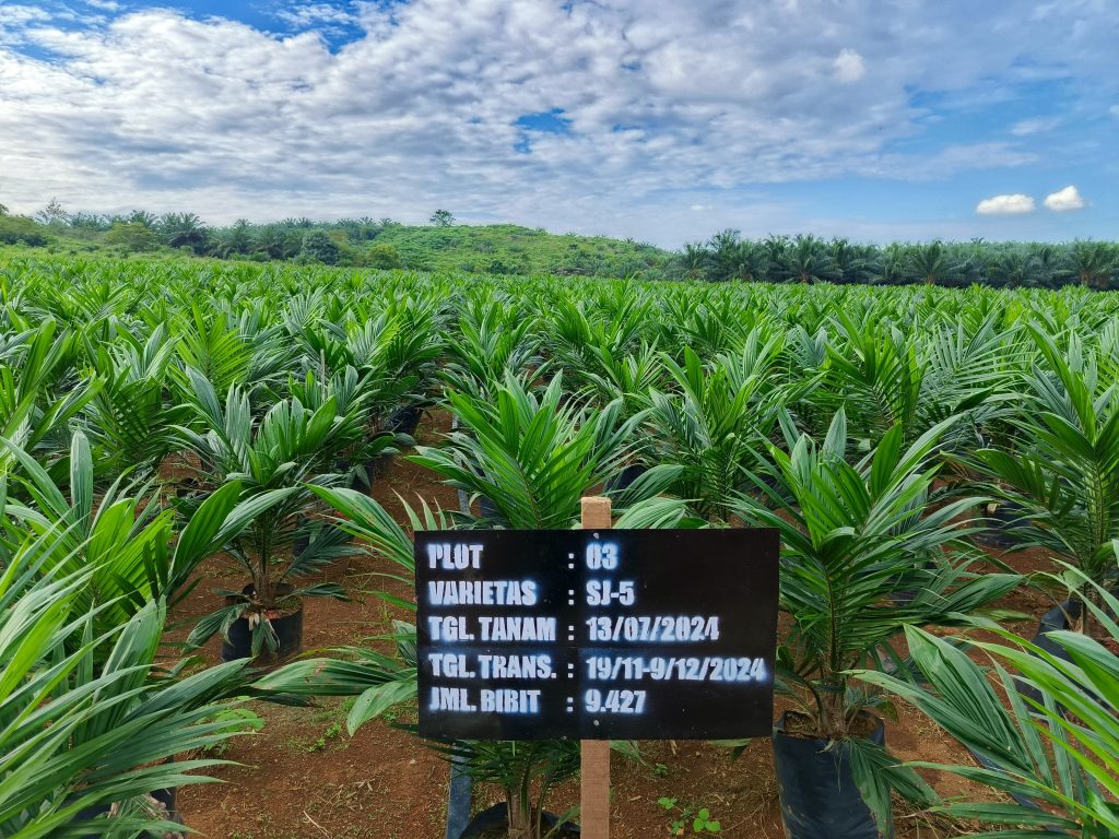 BPSBP Kalsel Kawal Penyediaan Benih Unggul Bersertifikat dan Berlabel
