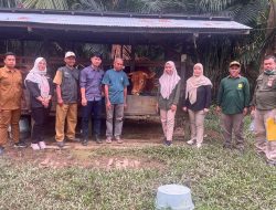 Pemprov Kalsel Intensifkan Pengawasan Hewan Kurban Jelang Iduladha 1446 H