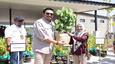 Tanah Bumbu terima 500 bibit tanaman dari Kemenhut RI