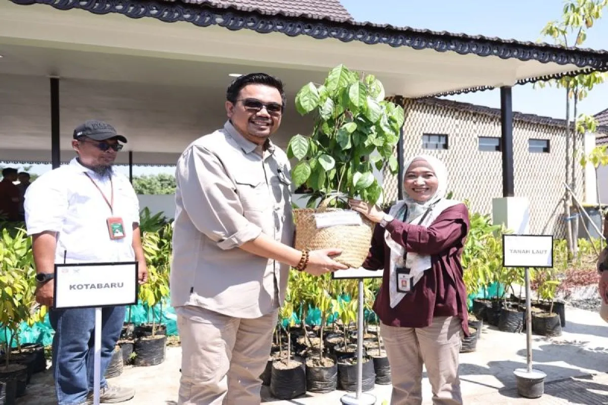 Tanah Bumbu terima 500 bibit tanaman dari Kemenhut RI