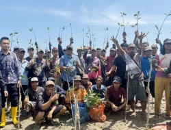 Dislutkan Kalsel Tanam 113.000 Bibit Mangrove untuk Pulihkan Ekosistem Pesisir