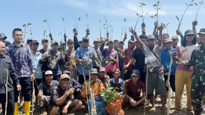 Istimewa - Dislautkan Kalsel tanam 113 ribu mangrove pulihkan ekosistem pesisir