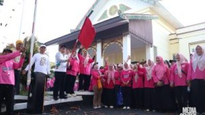 Daerah Kesehatan 8 Juni 2025 IBI Kalsel Gelar Fun Walk Serentak Peringati HUT ke-74 dan Hari Bidan Sedunia