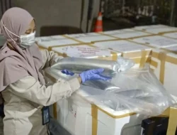 105 Ekor Ikan Betutu dari Kalsel Diekspor ke Malaysia, Karantina Pastikan Aman Konsumsi