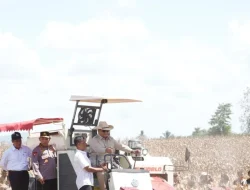 Gubernur Kalbar Apresiasi Panen Raya Jagung Serentak yang Dipimpin Presiden Prabowo