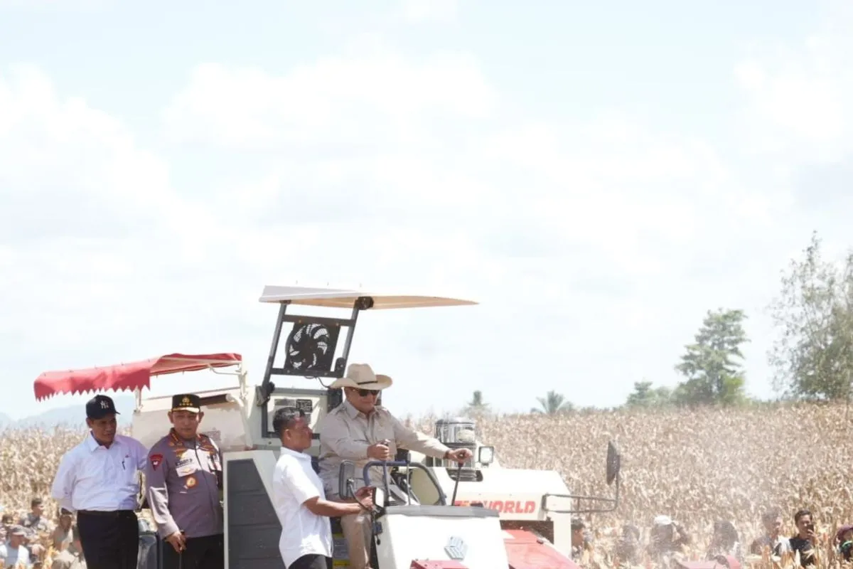Presiden Prabowo Subianto langsung mengendarai mesin pemanen jagung saat menghadiri panen raya jagung kuartal II di Dusun Kandasan, Desa Bange, Kecamatan Sanggau Ledo, Kabupaten Bengkayang.