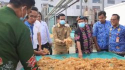 Irwan Sabri Tinjau Pabrik Rumput Laut PT BLG di Pinrang