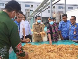 Bupati Nunukan Tinjau Pabrik PT BLG, Dorong Kemitraan Rumput Laut yang Adil dan Berkelanjutan