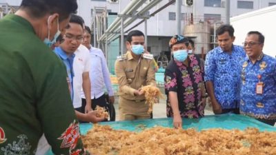Irwan Sabri Tinjau Pabrik Rumput Laut PT BLG di Pinrang