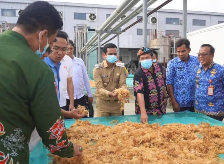 Irwan Sabri Tinjau Pabrik Rumput Laut PT BLG di Pinrang