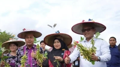 Wagub Seno Kagumi Keberhasilan Peda XI, Lahan Kosong Jadi Lumbung Palawija