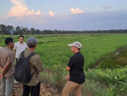 Brigade Pangan Gaet Organisasi Mahasiswa, Generasi Muda Siap Gerakkan Pertanian Modern