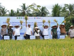 Kaltim Genjot Swasembada Pangan Lewat Digital Farming dan Bio Invigorasi Benih