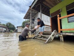 Melawi Terendam Banjir, Hujan Deras Sebabkan Sungai Meluap: Ribuan KK Terdampak